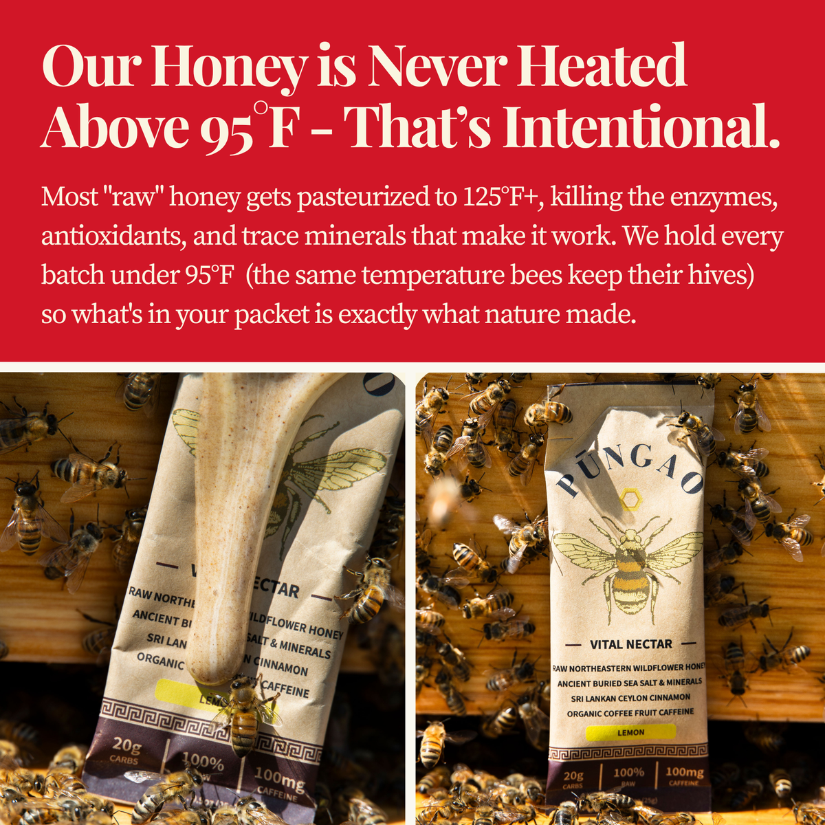 Taste Real Honey for the First Time