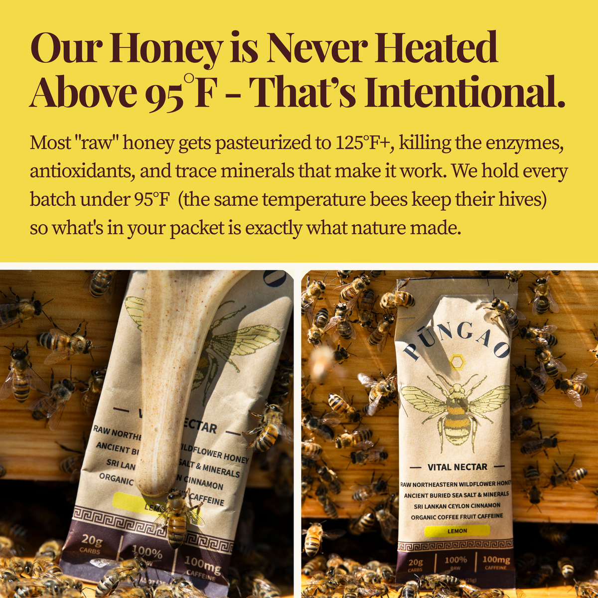 Stop Wasting Money on Harmful Synthetic Energy