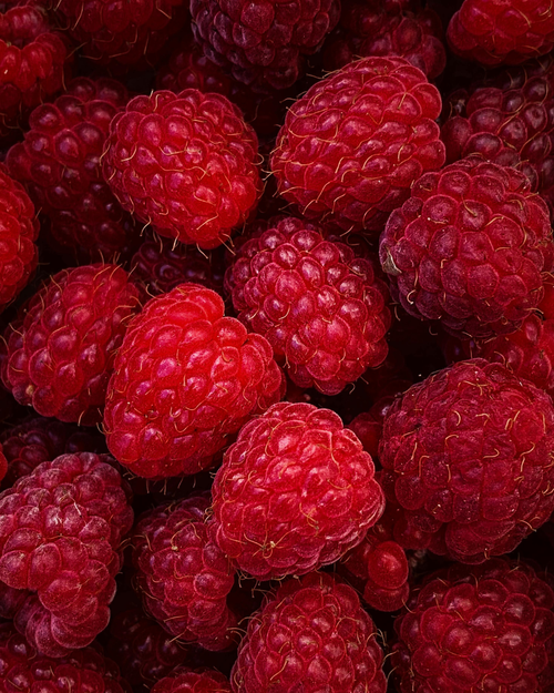 Raspberry 🍓