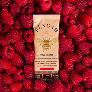 ecomposer-flavor-raspberry