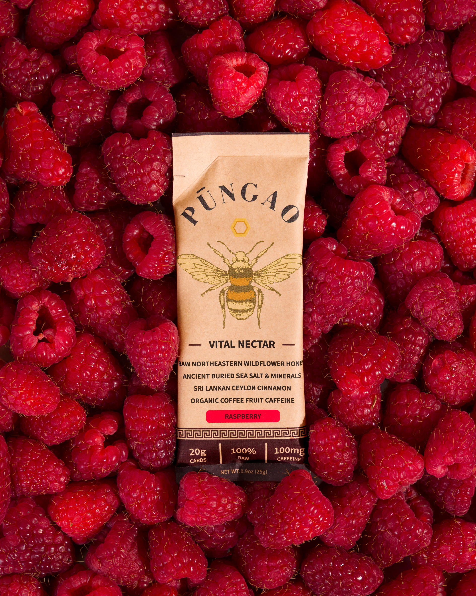 ecomposer-flavor-raspberry