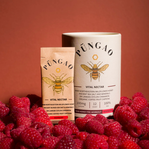 ecomposer-flavor-raspberry