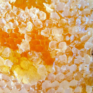 Raw wildflower honey